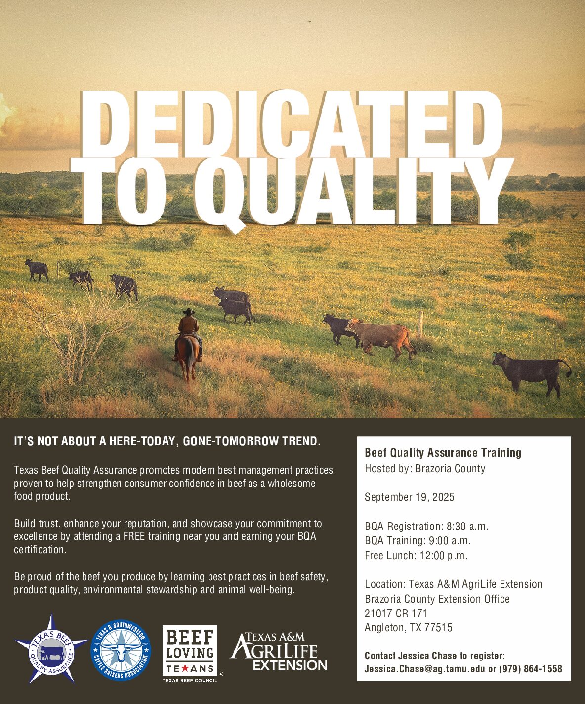 Brazoria County BQA Flyer